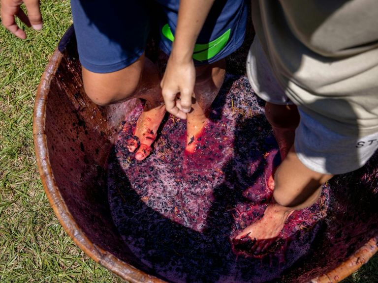 Stomping Grapes