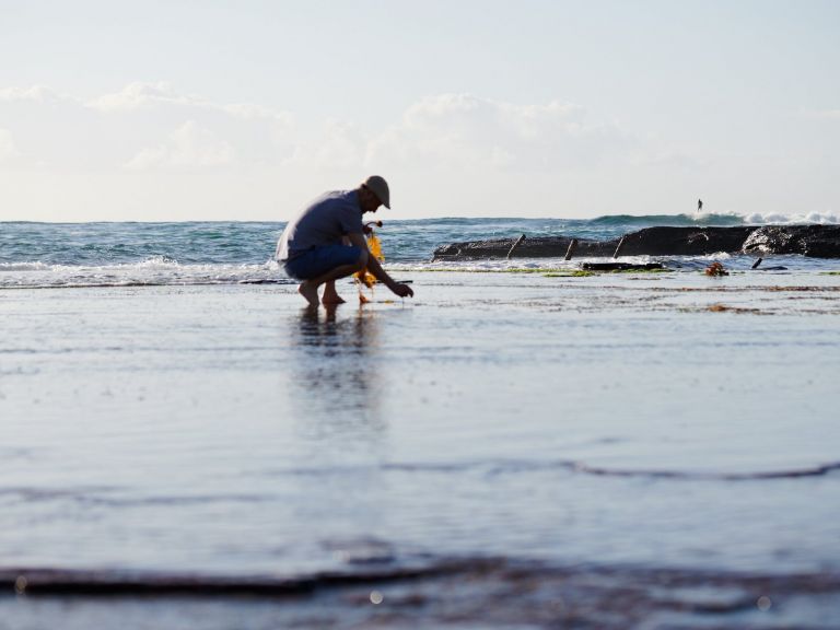 man crouching on a rock platform by the sea collecting seaweeds