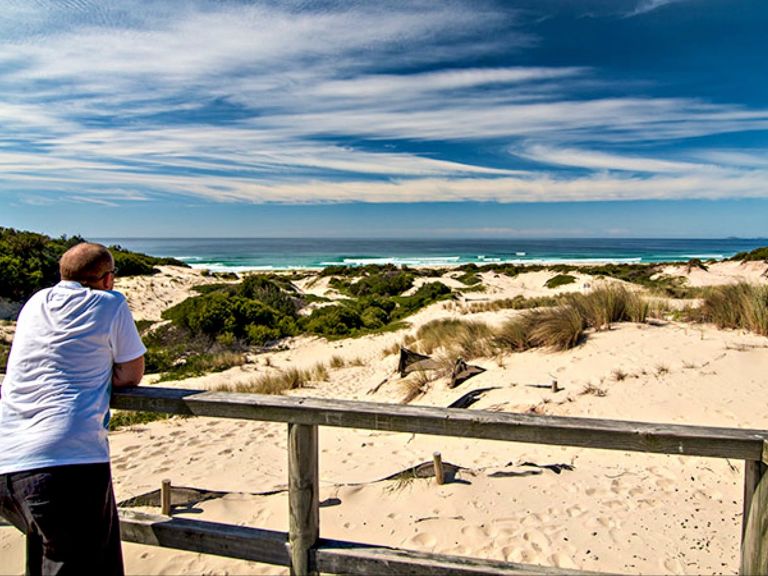 Submarine Beach walking track, Myall Lakes National Park. Photo: John Spencer/NSW Government