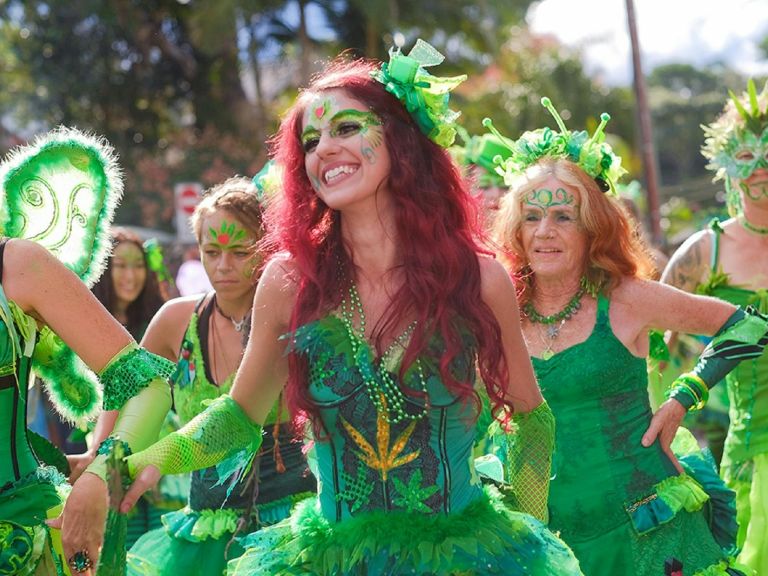 Nimbin Green Fairies