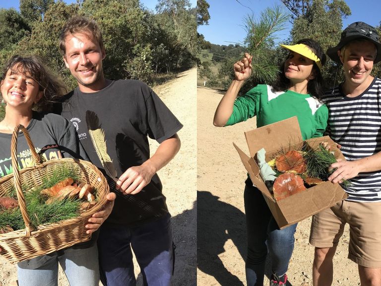 Happy mushroom foragers with full boxes