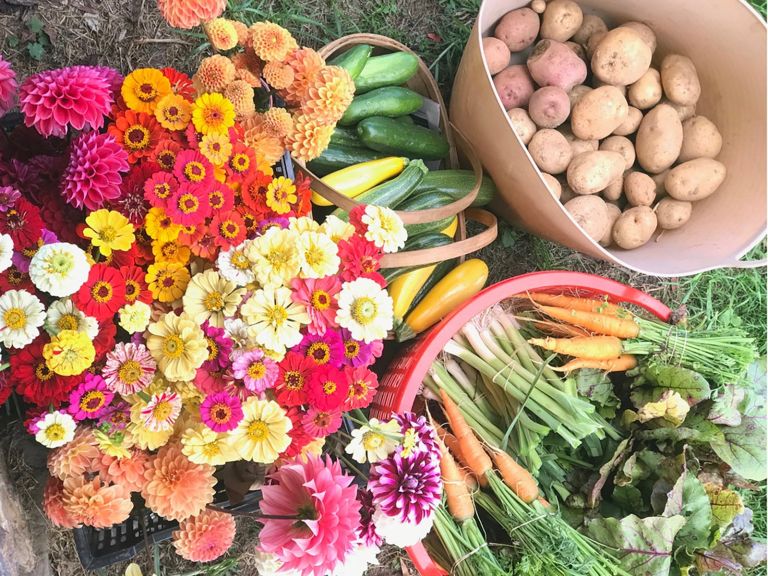 Flowers, Spuds and Veggies