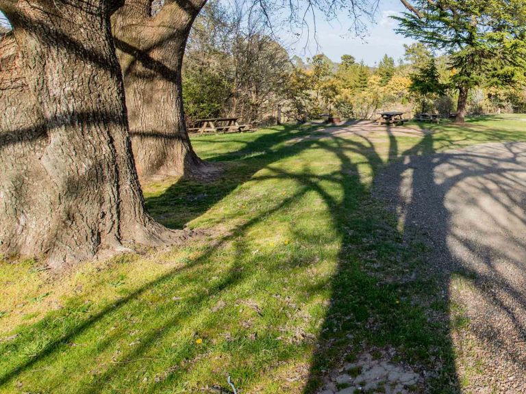 Village walking track, Hill End Historic Site. Photo: John Spencer