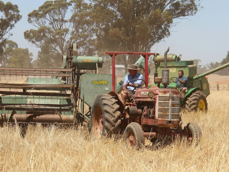 Vintage Harvest Fest Warrangong