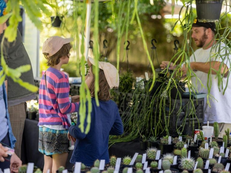 BLOOM in Picton, displaying a fabulous assortment of plants and gardening goods