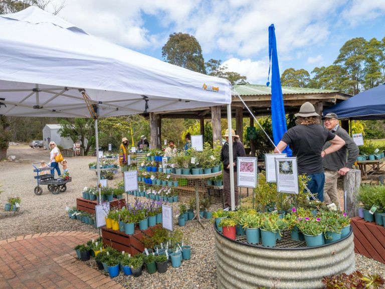 Plant sale