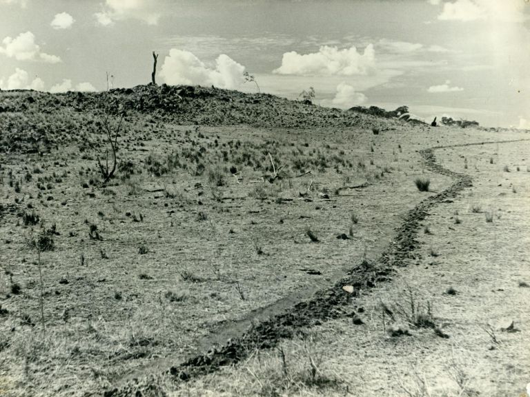 Trail leading up a hill