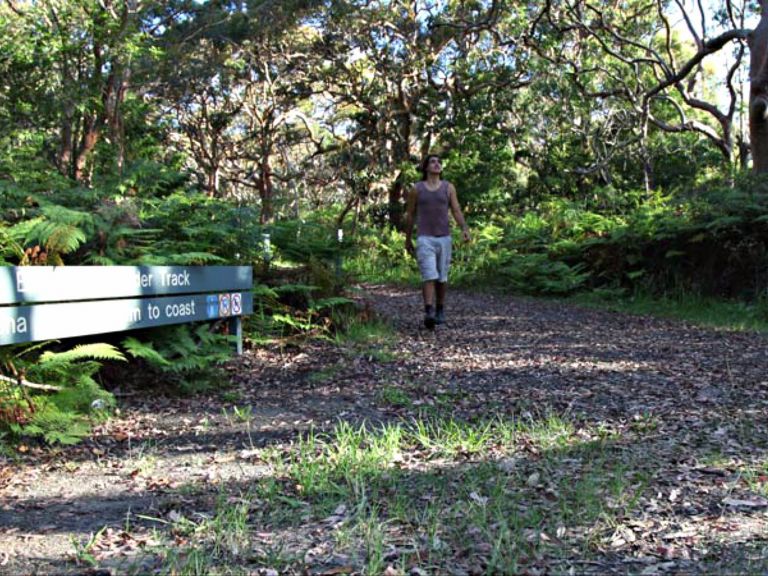 Banks-Solander track, Kamay Botany Bay National Park. Photo: Andy Richards