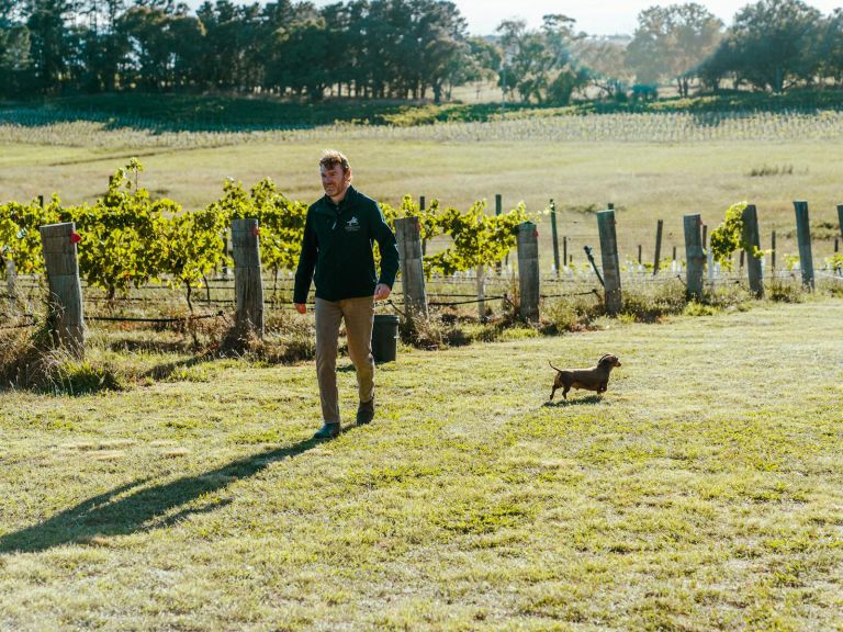 winemaker in the vineyard