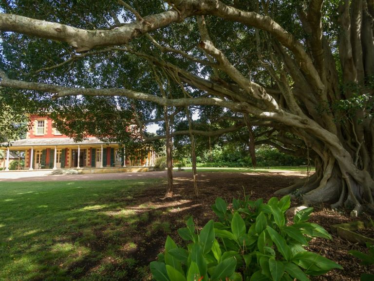 Tocal Homestead