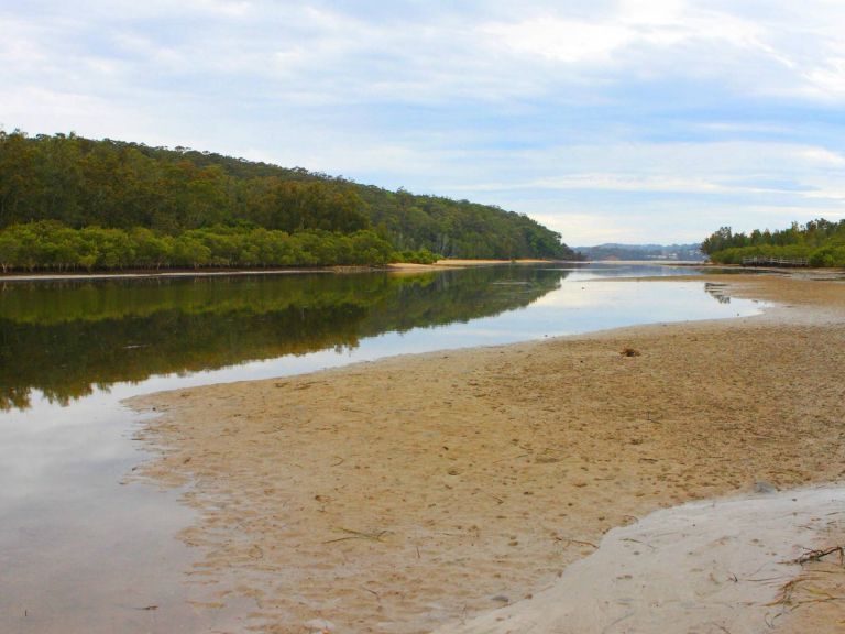 Mangrove walk, Cullendulla Creek Nature Reserve