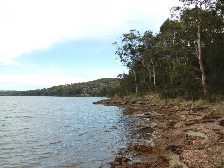 Wangi circuit walking track, Lake Macquarie State Conservation Area. Photo: Susan Davis.