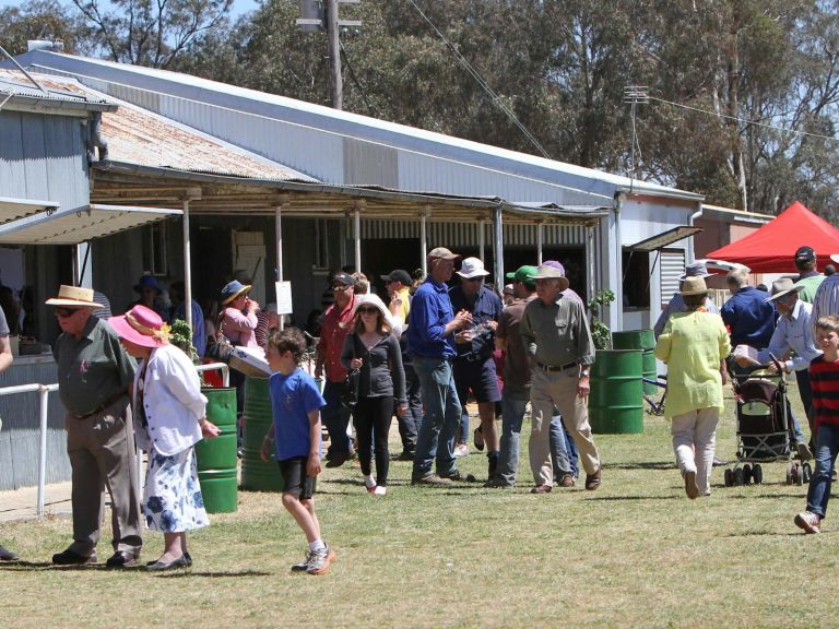 Illabo Show crowd