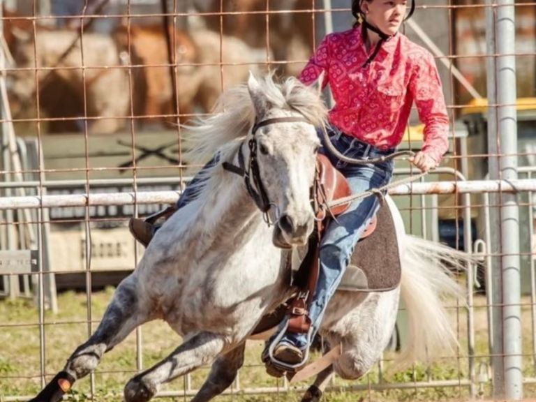 Rodeo Fun