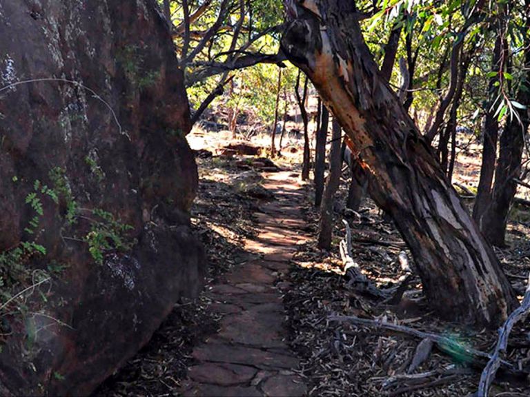 Art site walk, Mount Grenfell Historic Site. Photo: NSW Government