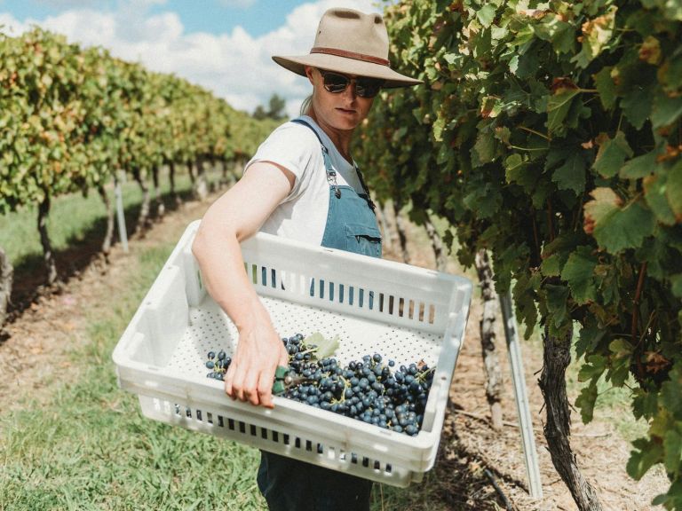 Work with the Winemaker