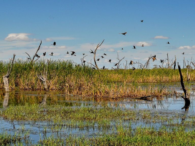 Gwydir Wetlands