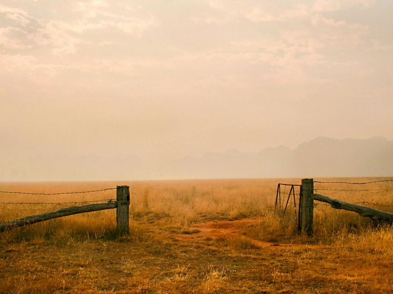 photo of burnt paddock