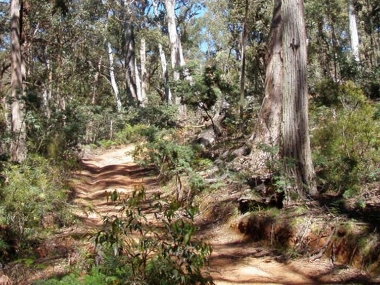 Abercrombie River Trail, Abercrombie National Park. Photo: NSW Government