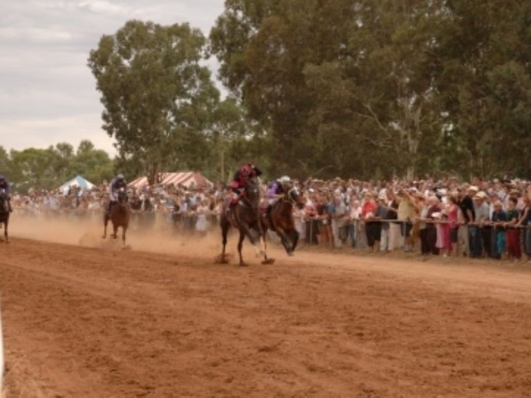 Cdobolin Picnic races