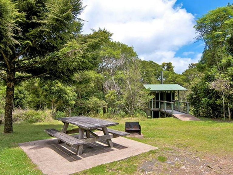 Picnic table at Antarctic Beech picnic area, Border Ranges National Park. Photo credit: John Spencer