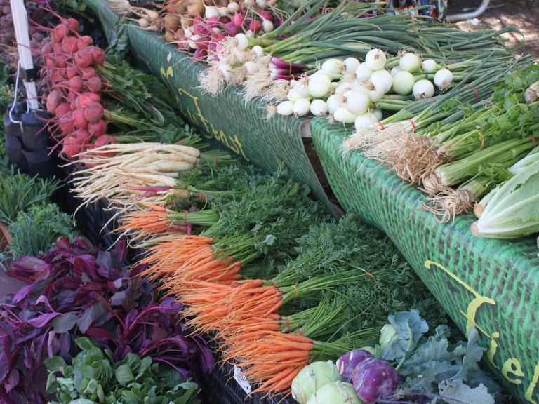 Vegetables at Bondi Farmers