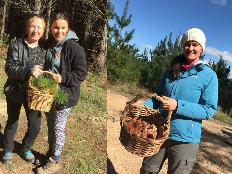 young and old mushroom foragers with lots of pine mushrooms