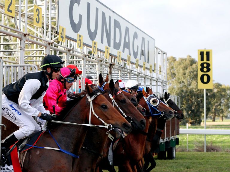 Snake Gully Cup start