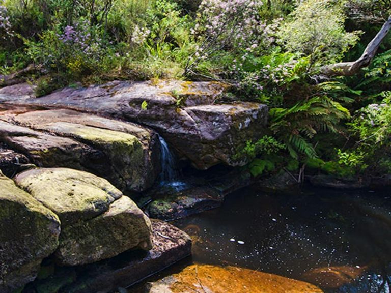 Barren Grounds Nature Reserve, Stone Bridge. Photo: John Spencer/NSW Government