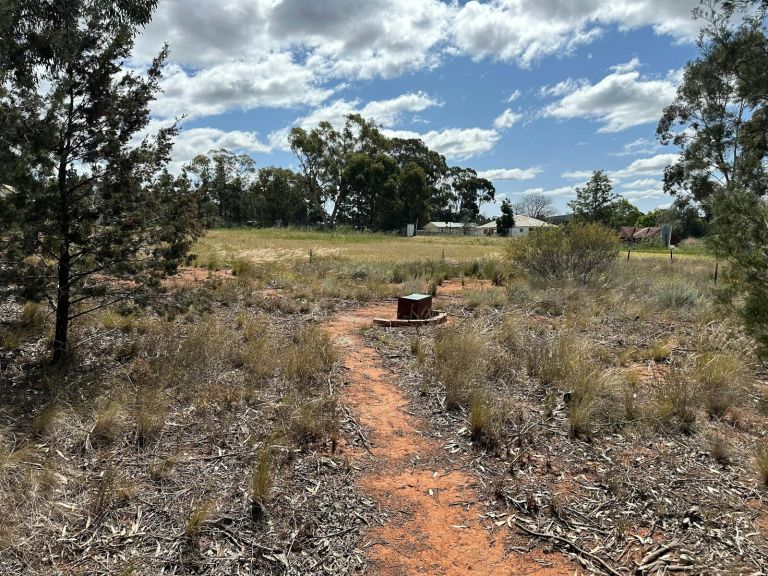 A dirt trail leading out to an arid landscape, an "esky" serving as a seat in the distance