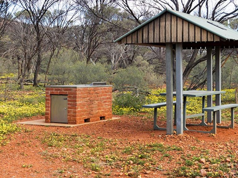 Barbecue and picnic table with shelter set in a clearing with yellow wildflowers. Photo credit: Leah