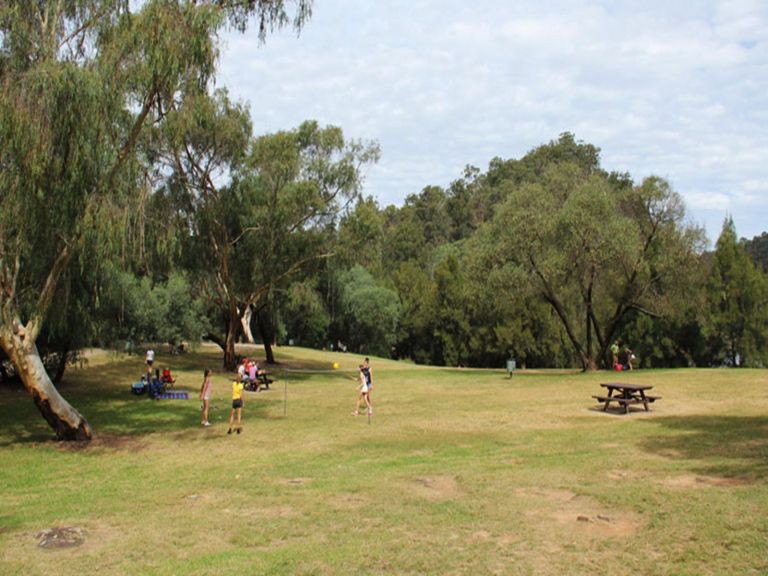 Green grass and trees in Bents Basin Road picnic area. Photo: John Yurasek &copy; OEH