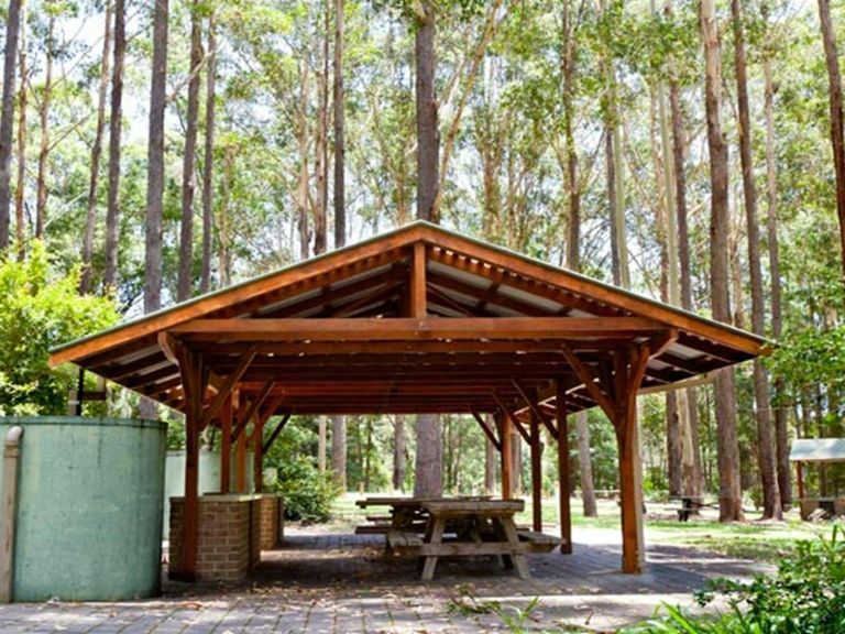 Bongil picnic area, Bongil Bongil National Park. Photo: Rob Cleary/OEH