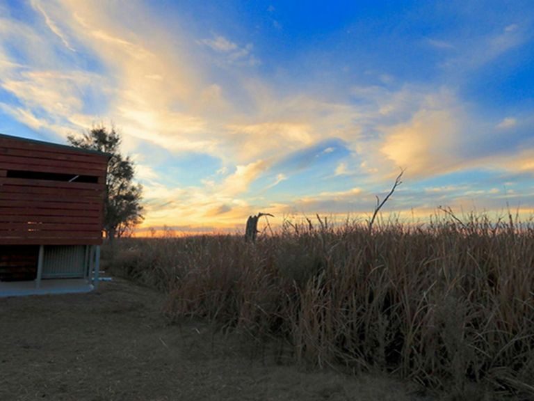 Wood and steel bird hide at the edge of Waterbird Lagoon at sunset. Photo: James Faris/OEH.