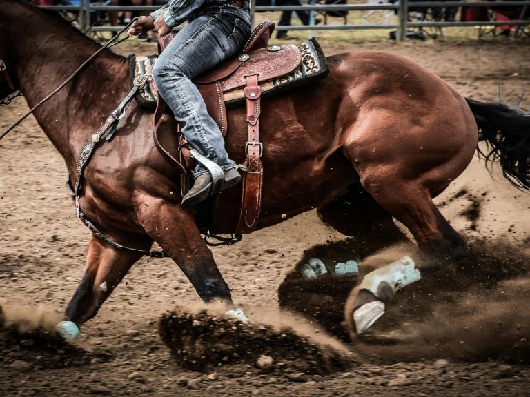 Gil Mathews Wagga Pro Rodeo NSW Government