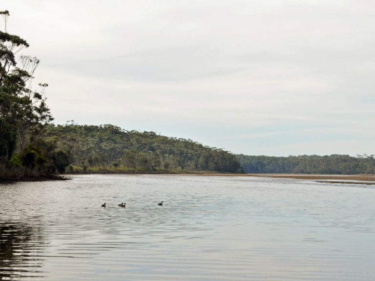 Tabourie Lake, Meroo National Park. Photo: Michael Jarman