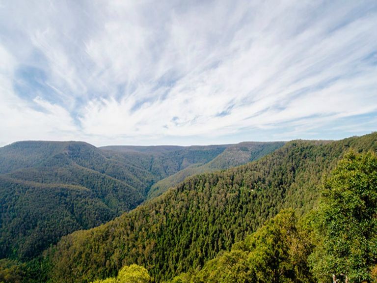 Barrington Tops National Park