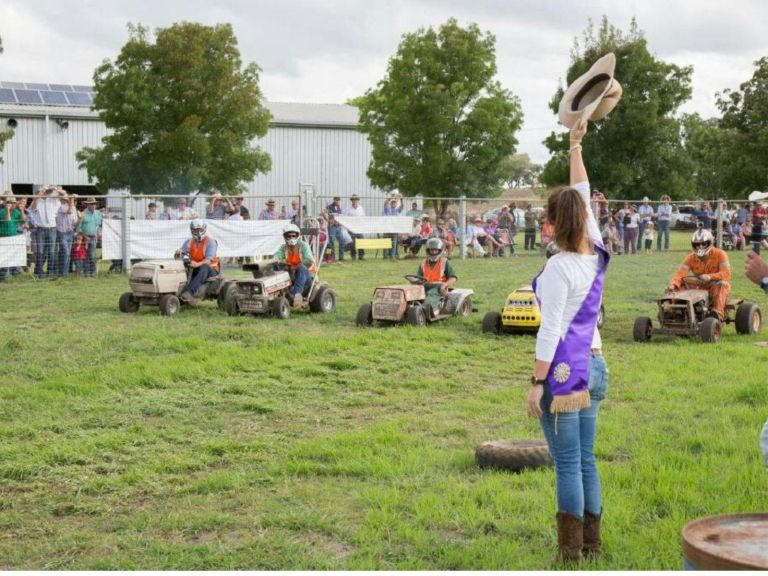 Lawn Mower racing