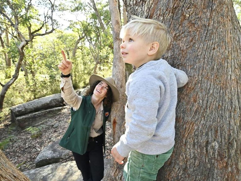 An NPWS ranger shows a child who's climbed a tree something interesting above them during a nature