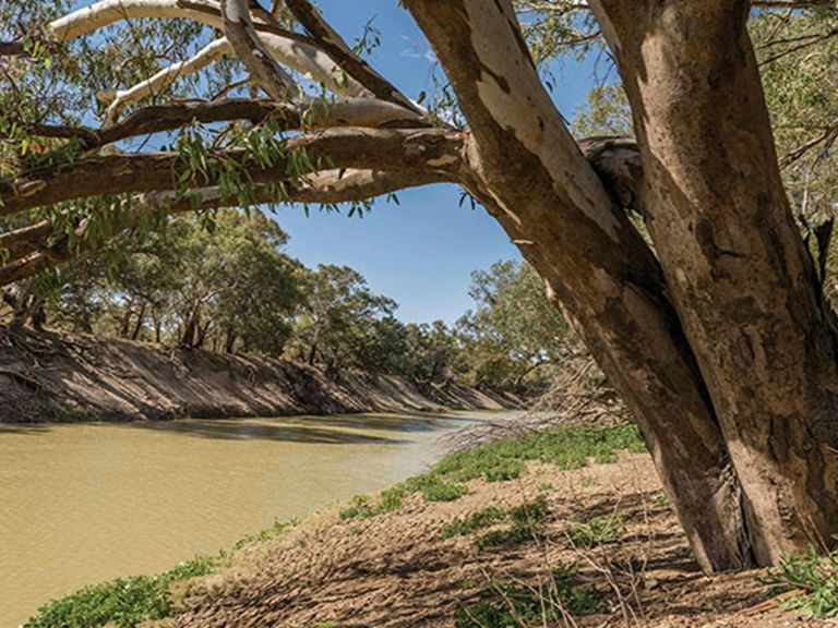 The Darling River at Coach and Horses campground. Photo: John Spencer &copy; DPIE