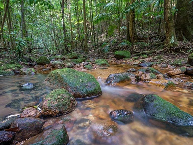 Coorabakh National Park. Photo: John Spencer/OEH