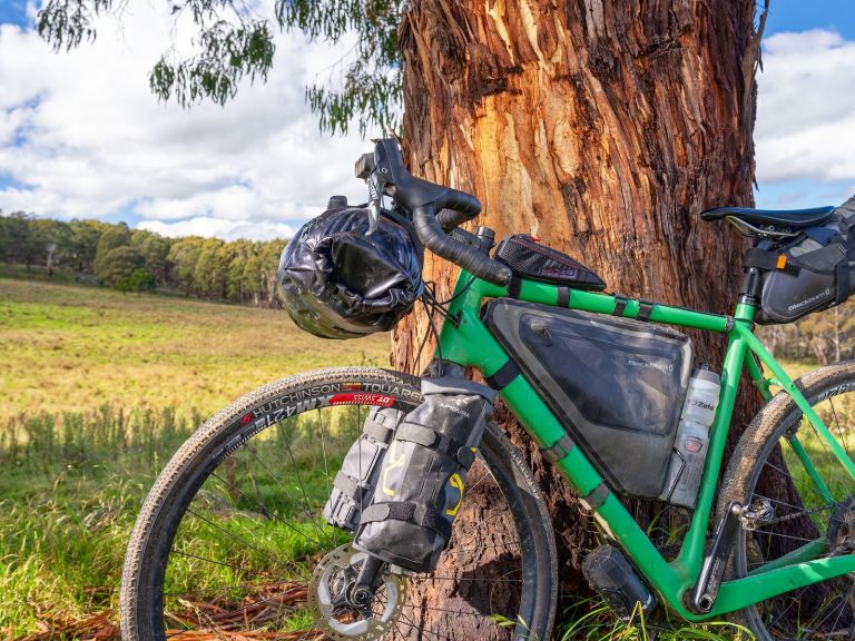 Bicycle leaning against a tree