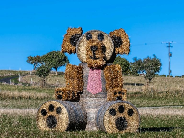 Browns Creek Bear Haybale Art