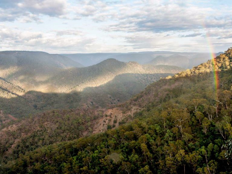 Badgerys Spur walking track, Morton National Park. Photo: Michael van Ewijk