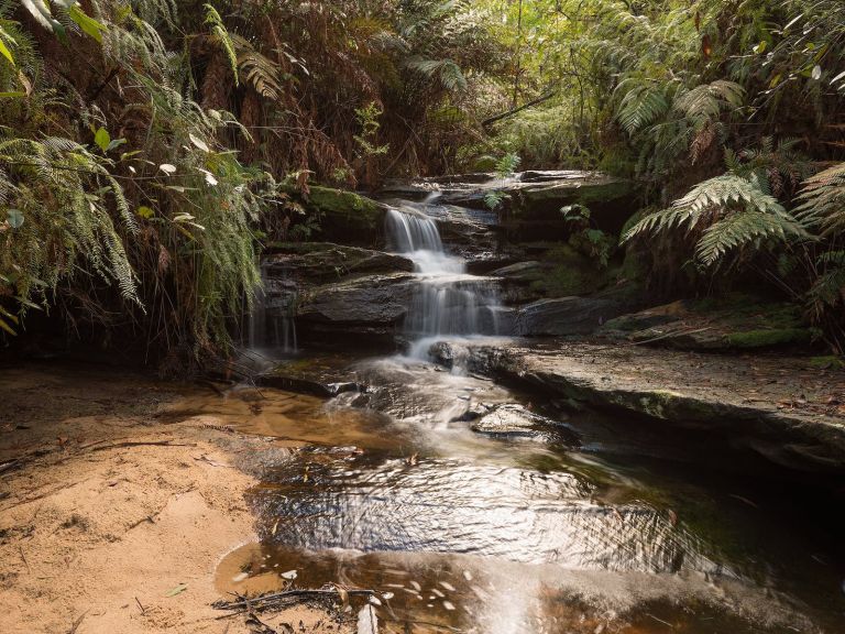 South Lawson Waterfall Circuit | NSW Government