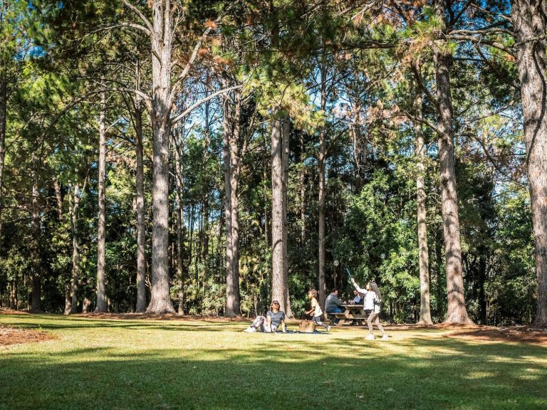 Family Picnic in the park