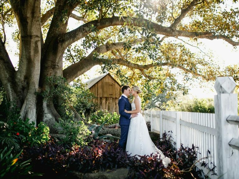 Tocal fig tree wedding photography