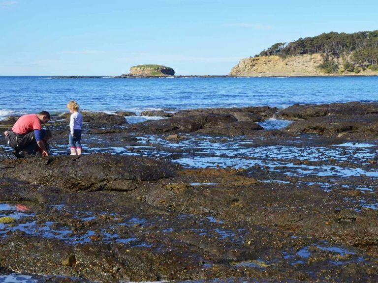 Rock Platform, Depot Beach, Murramurang National Park. Photo: OEH