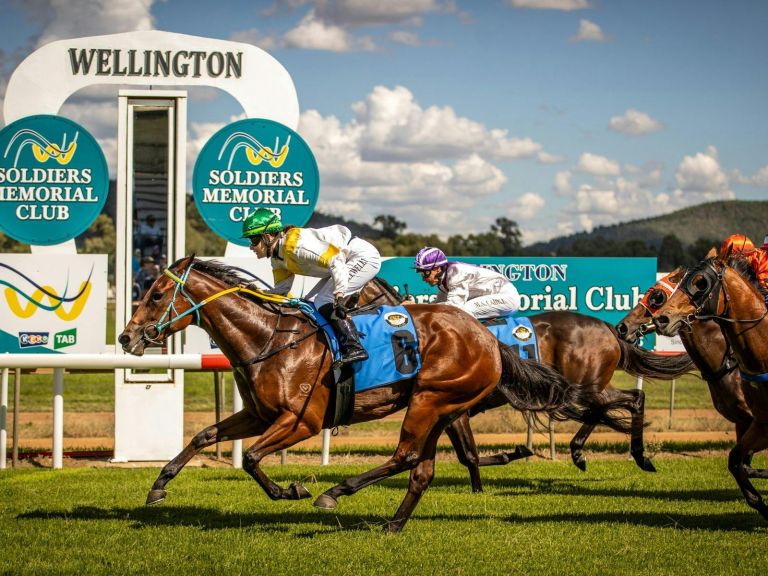 Wellington Boot Racing Carnival