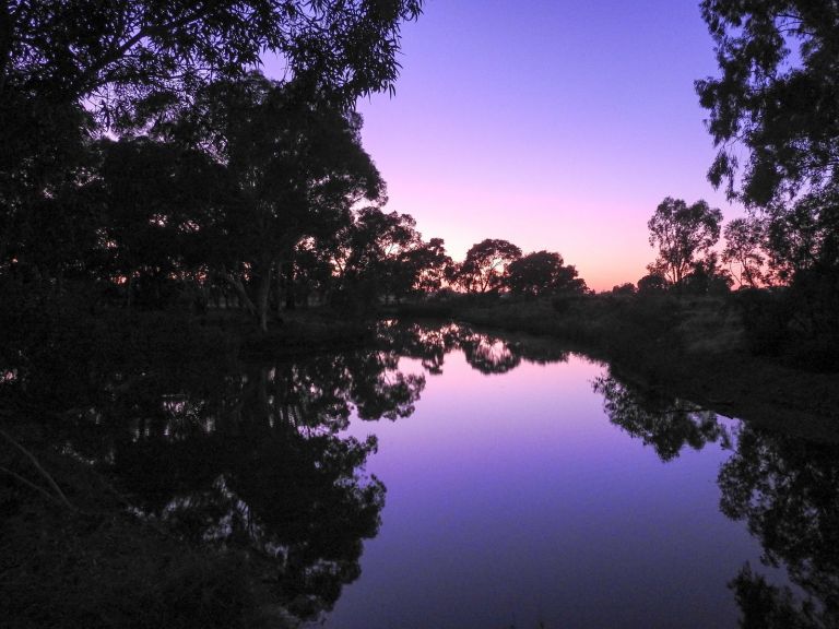 wetlands